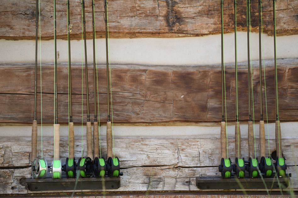 Introduction to the Gear